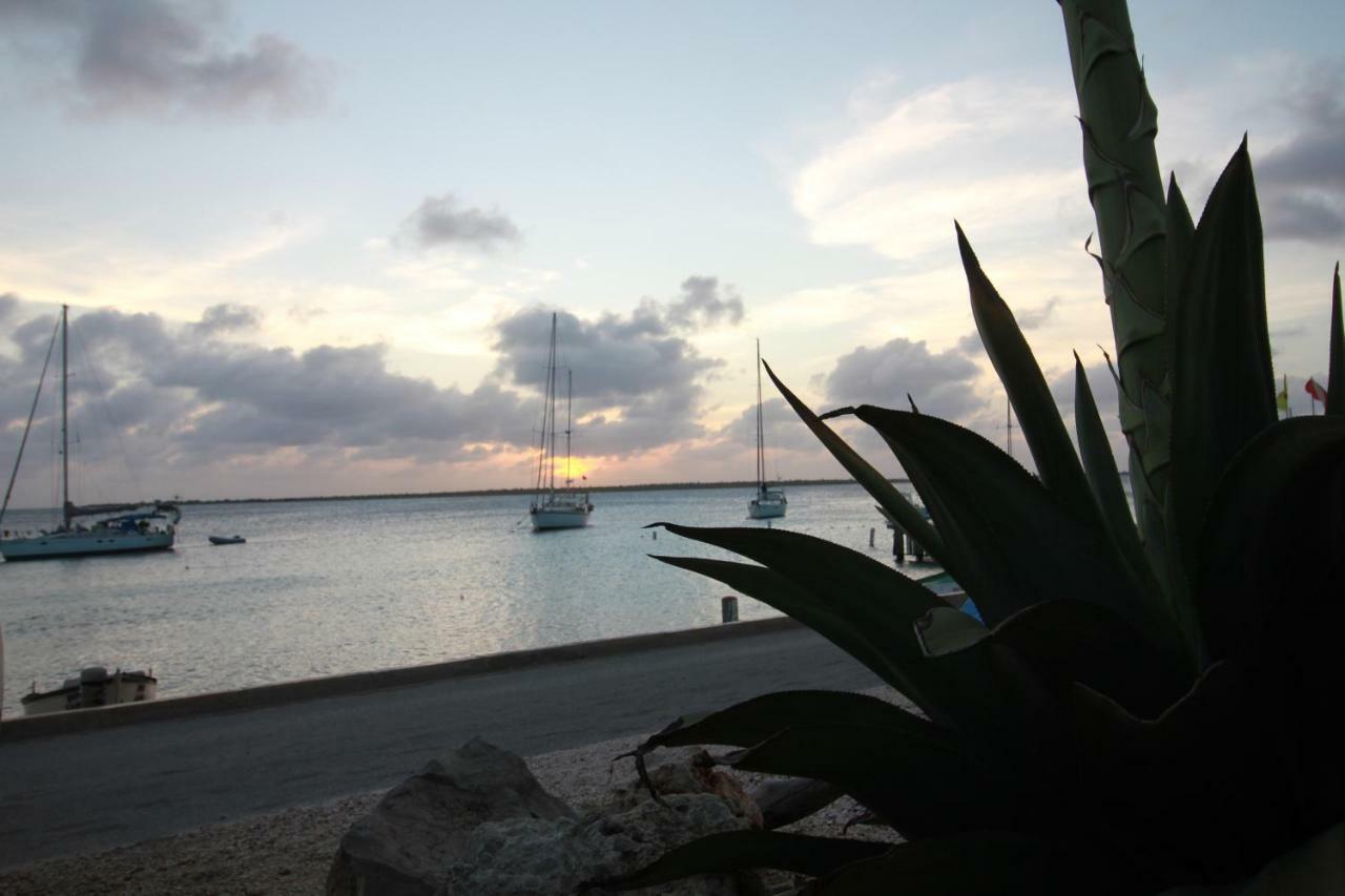 Bonaire Seaside Apartments Kültér fotó